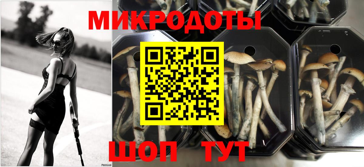 Галлюциногенные грибы Psilocybine cubensis Щёлково